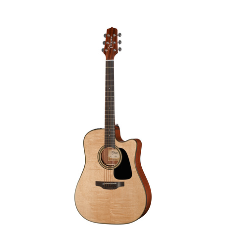 Takamine P2DC